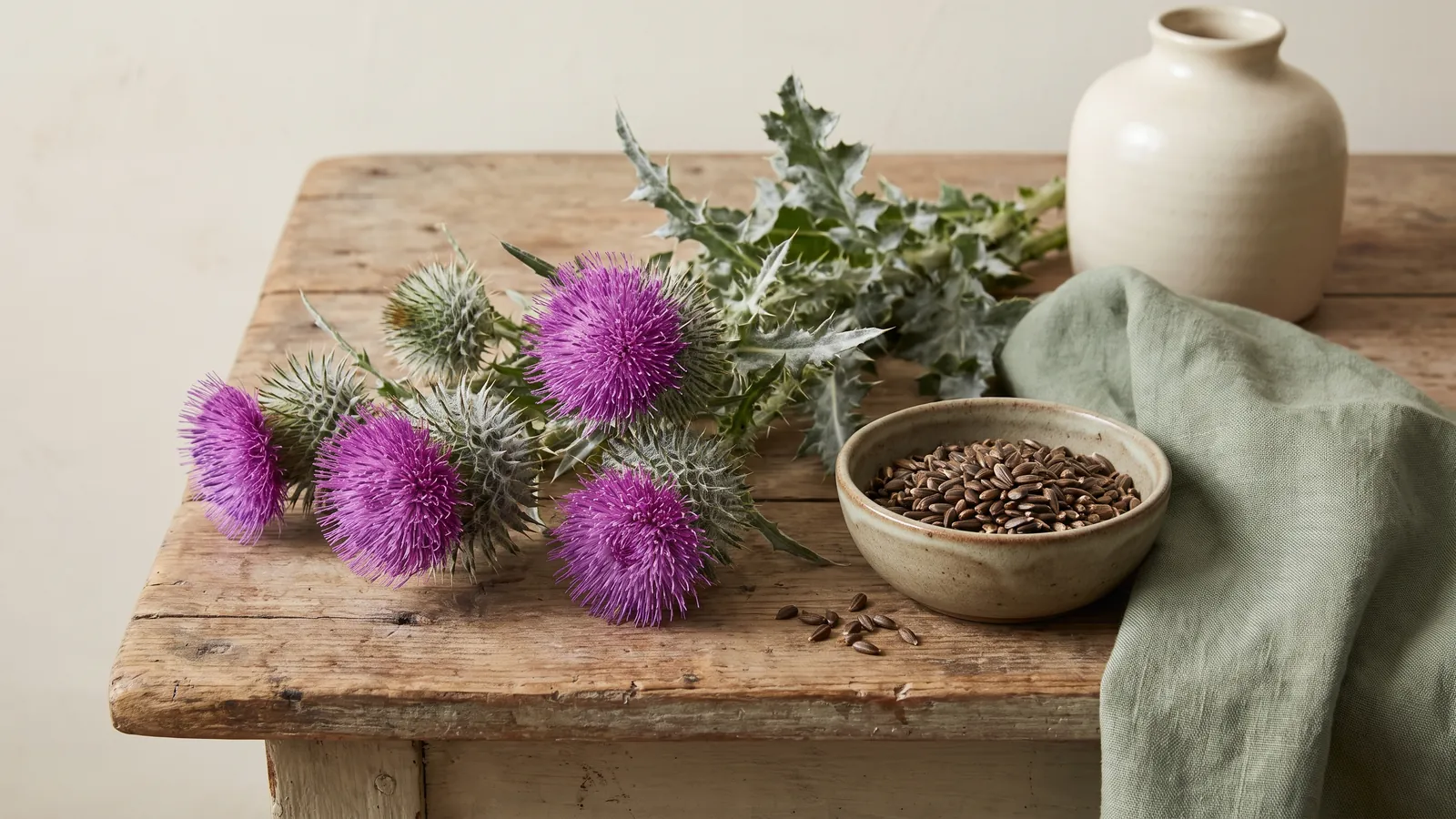 Mariendistel: Stimmungsbild zum Ratgeber im Natur-Buddy-Magazin